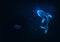 Futuristic glowing low polygonal fish isolated on dark blue background