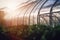 Futuristic Greenhouse in the Glow of the Evening Sun