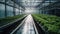 Futuristic greenhouse industry grows organic vegetables inside steel generated by AI