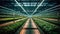 Futuristic greenhouse industry uses hydroponics for efficiency generated by AI