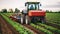 Futuristic harvesting machines in a vegetable field. Concept of agriculture in the future.