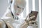 Futuristic humanoid robot with a female face using smartphone holding it in hands