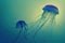 Futuristic jellyfish light passes through water abstract dark background. Moon jelly fish with glowing volume-rays