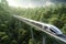 futuristic, modern Maglev train passing on mono rail. Ecological future concept. Aerial nature view. 3d rendering