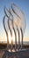 Futuristic Organic Sculptures: Intricate Architectures On Montauk Beach