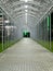 Futuristic pedestrian overpass tunnel with bright lighting, receding into the distance at night. Urban geometry