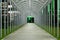 Futuristic pedestrian overpass tunnel with bright lighting, receding into the distance at night. Urban geometry