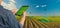 Futuristic technology trend in smart farm agriculture concept. Farmer use ai drone to monitor prediction forecast check the health