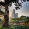 Futuristic View of Hong Kong City Scape from Nan Lian Garden