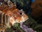 Fuzzy Dwarf Lion fish Close up