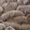 A fuzzy and hairy texture with animal pelts and shaggy carpets4, Generative AI