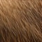 A fuzzy and hairy texture with animal pelts and shaggy carpets5, Generative AI