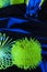 Fuzzy objects in close-up view are lit with fluorescent colors against a deep blue background.