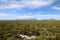 Fynbos vegetation and view to distant mountains