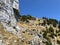 FÃ¼essler cliff or FÃ¼essler-Felsen Fueessler-Felsen or Fuessler-Felsen on the Ebenalp alpine hill and in the Appenzellerland