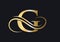 G Letter Initial Luxurious Logo Template. Premium G Logo Golden Concept. G Letter Logo with Golden Luxury Color and Monogram