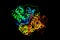 G protein-coupled receptor kinase 4 is an enzyme that in humans