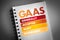 GAAS - Generally Accepted Audit Standards