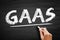 GAAS Generally Accepted Audit Standards - set of systematic guidelines used by auditors when conducting audits on companies` fina