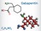 Gabapentin molecule. It is anticonvulsant medication, used to treat neuropathic pain and epilepsy. Structural chemical formula and