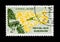 Gabon postage stamp shows Golden Shower Tree Cassia fistula `deareana`, Flora serie, circa 1961