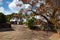 Gadaladenyia Vihara is an ancient Buddhist temple, Sri Lanka