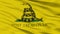 Gadsden Flag Closeup View