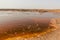 Gaet'ale Pond in Danakil depression, Ethiopia. Hypersaline lake with bubbling ga