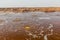 Gaet'ale Pond in Danakil depression, Ethiopia. Hypersaline lake with bubbling ga