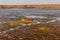 Gaet'ale Pond in Danakil depression, Ethiopia. Hypersaline lake with bubbling ga