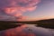 A gaggle of Canada geese floating in the pink sunset in Hayden Valley