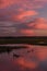 A gaggle of Canada geese swimming in the waters of Hayden Valley at sunset.