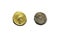 Gaius Julius Caesar coins. Roman General and dictator