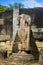 Gal Vihara & x28;Buddhist temple in Nissankamallapura& x29;