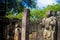 Gal Vihara - Polonnaruwa Sri lanka