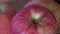 Gala red apple, close-up video. Rotating fruits.