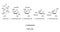 Galactose, Gal, monosaccharide, chemical structure