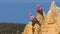 Galah birds on limestones