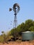 Galahs on Windmill with Cattle