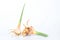 Galangal natural herbal local flora of asia on white background