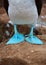 Galapagos blue-footed booby