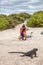 Galapagos Christmas Iguana and tourist wildlife photographer taking picture