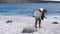 Galapagos, Ecuador - 2019-06-20 - Guide takes photograph of sand covered baby sea lion