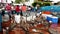 Galapagos, Ecuador - 2019-06-20 - tourists watch fish seller as brown pelicans shiver