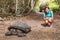 Galapagos Giant Tortoise and tourist woman on Santa Cruz Island Galapagos