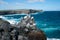 Galapagos island beach