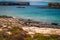 Galapagos Islands - August 24, 2017: Sealion in Plaza Sur island, Galapagos Islands, Ecuador