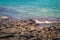 Galapagos Islands - August 24, 2017: Sealion in Plaza Sur island, Galapagos Islands, Ecuador