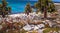 Galapagos Islands - August 24, 2017: Sealions in Plaza Sur island, Galapagos Islands, Ecuador