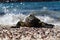 Galapagos Marine Iguana Amblyrhynchus cristatus on sunning itself on a beach, Galapagos Islands